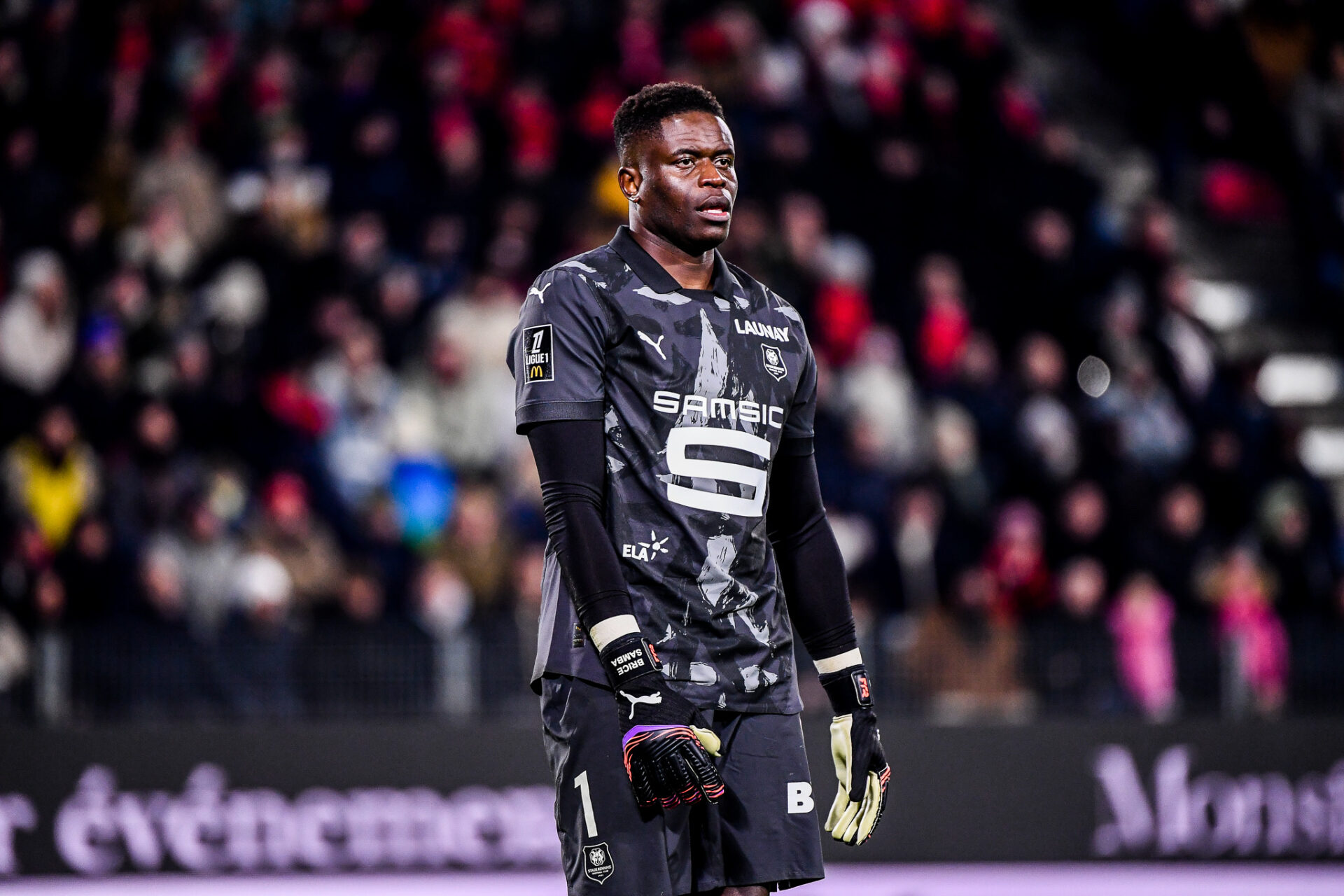 Thibaut Courtois : Son Conseiller Thierry Barnerat Dévoile Son Opinion Tranchée Sur Brice Samba